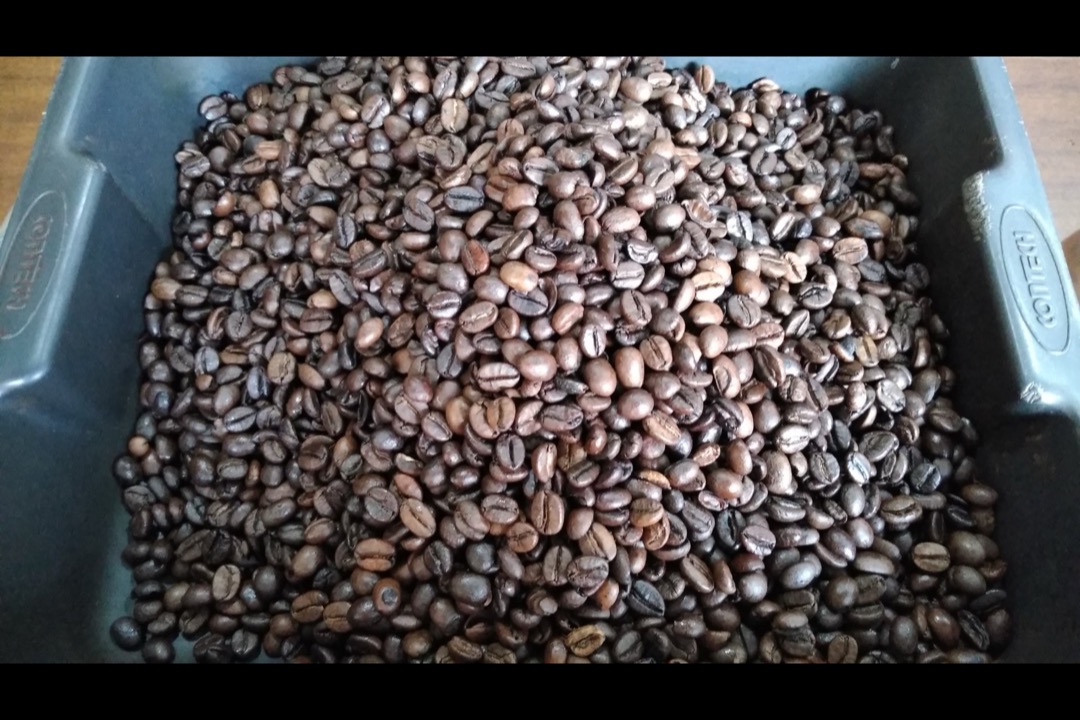 Close-up of freshly roasted whole coffee beans